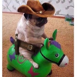 Meet your Posher, Sofia